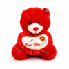 Red Teddy Bear with I Love You Heart