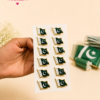 Pakistan Flag Lapel Pin Badge (12 Pcs)
