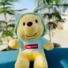Mint Hoodie Teddy Bear