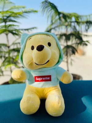 Mint Hoodie Teddy Bear